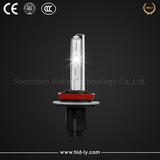 H8 Bulb