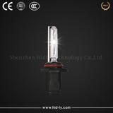 H10 Bulb