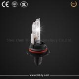 9004 9007 Hi Lo Bulb